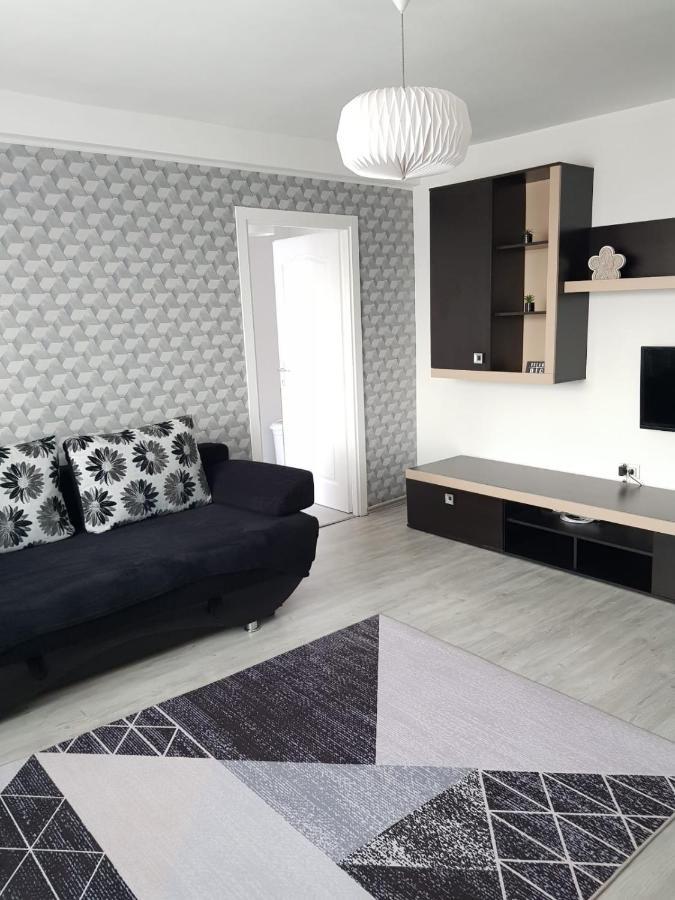 Ana Apartament Râmnicu Vâlcea Extérieur photo