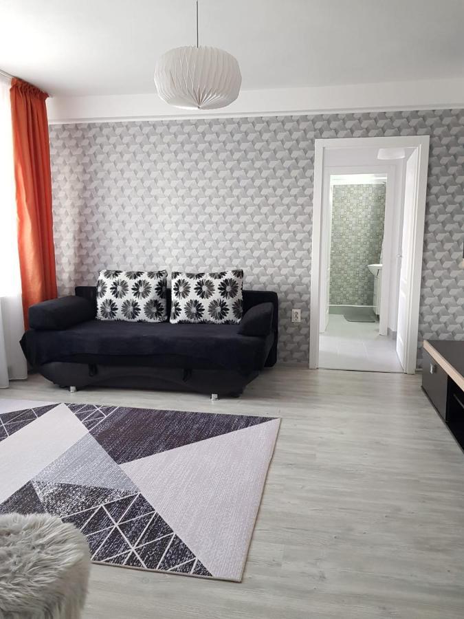 Ana Apartament Râmnicu Vâlcea Extérieur photo