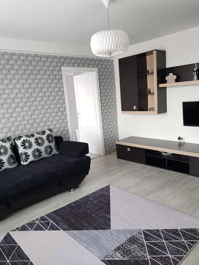 Ana Apartament Râmnicu Vâlcea Extérieur photo