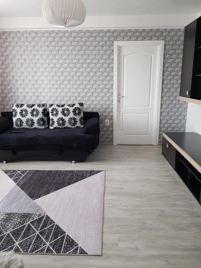 Ana Apartament Râmnicu Vâlcea Extérieur photo