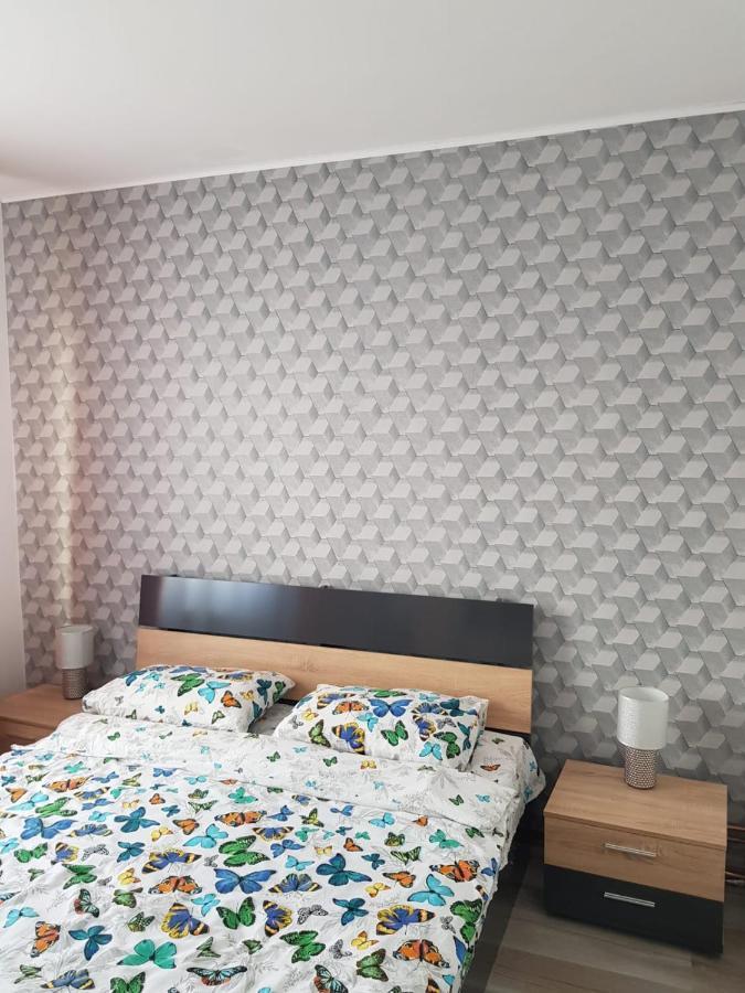 Ana Apartament Râmnicu Vâlcea Extérieur photo