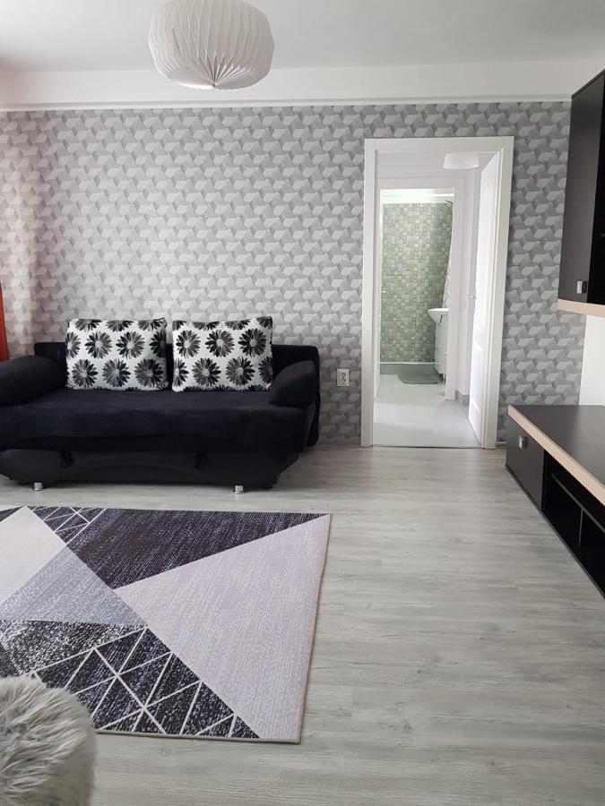 Ana Apartament Râmnicu Vâlcea Extérieur photo