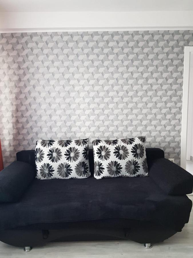 Ana Apartament Râmnicu Vâlcea Extérieur photo