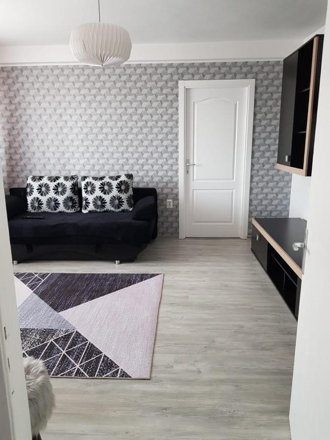 Ana Apartament Râmnicu Vâlcea Extérieur photo