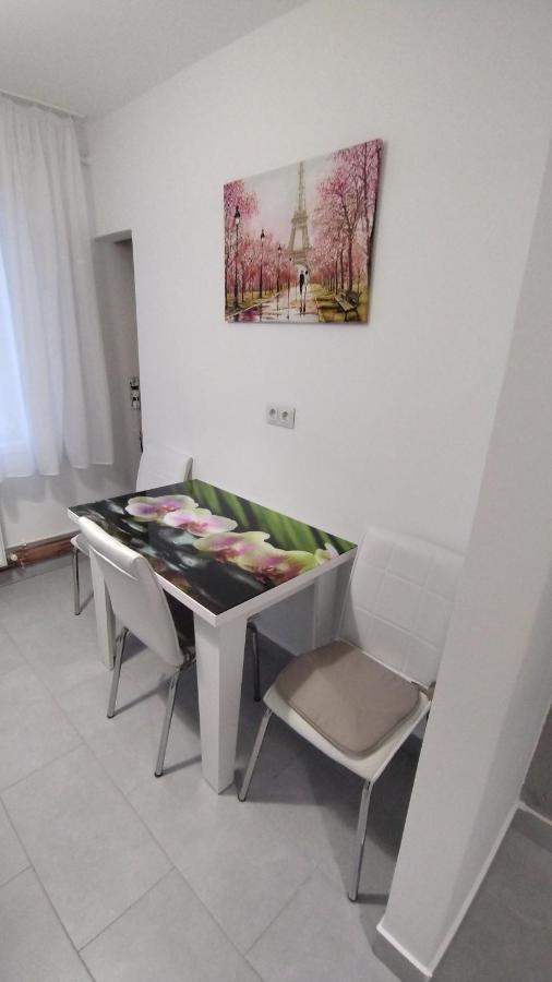 Ana Apartament Râmnicu Vâlcea Extérieur photo