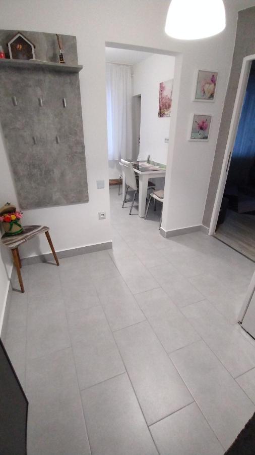 Ana Apartament Râmnicu Vâlcea Extérieur photo