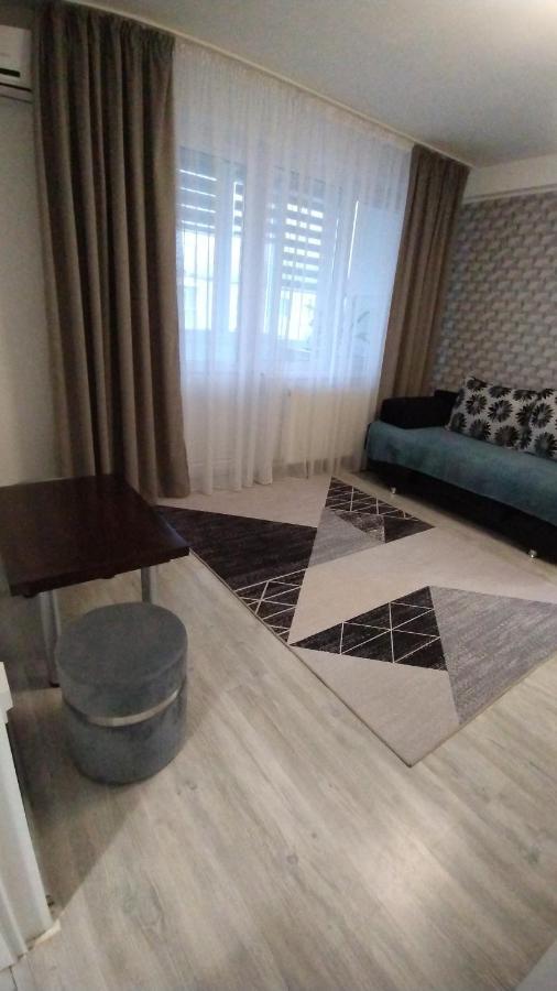 Ana Apartament Râmnicu Vâlcea Extérieur photo